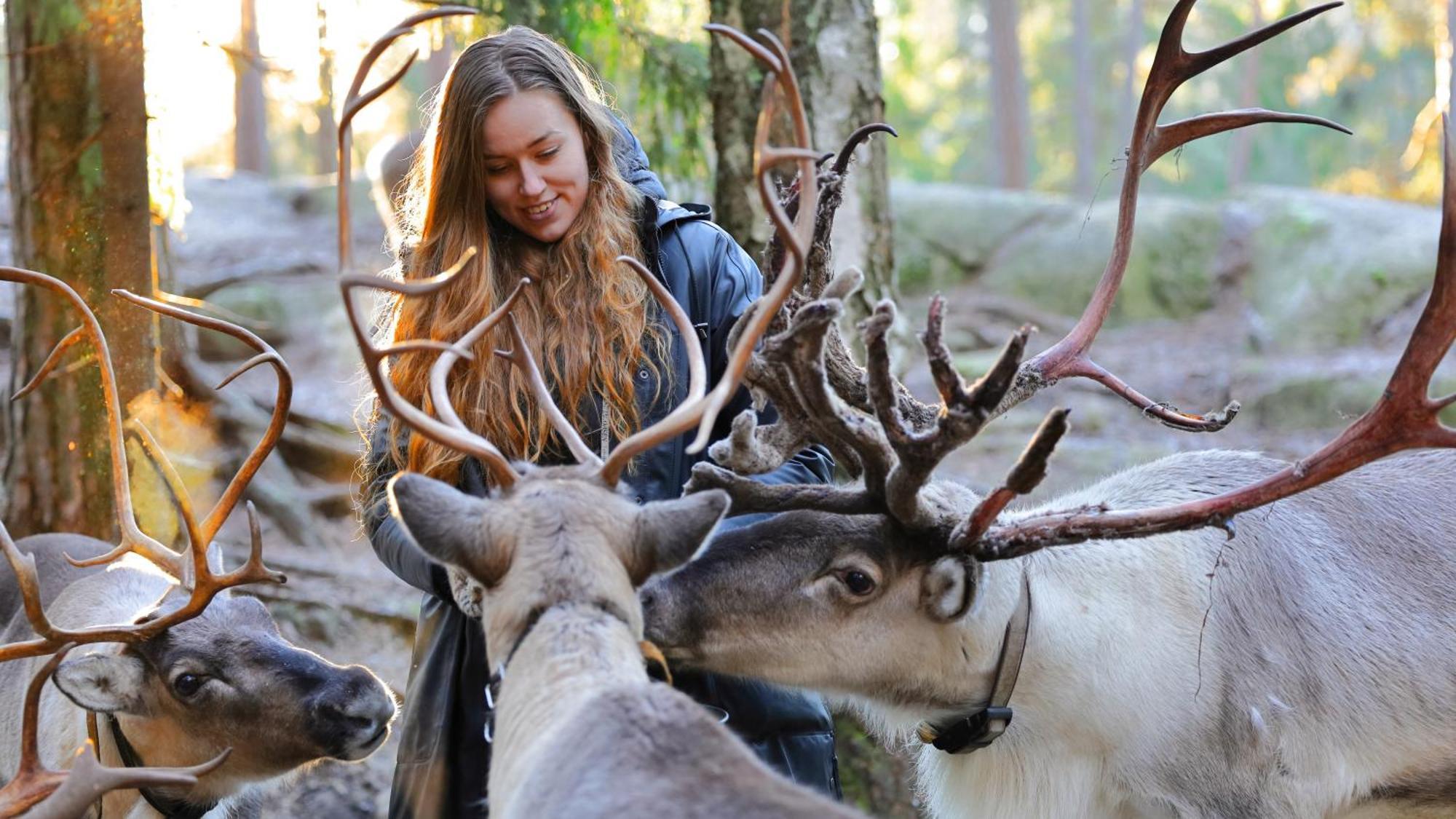 Haltia Lake Lodge Nature Boutique Hotel & Glamping 에스포 외부 사진