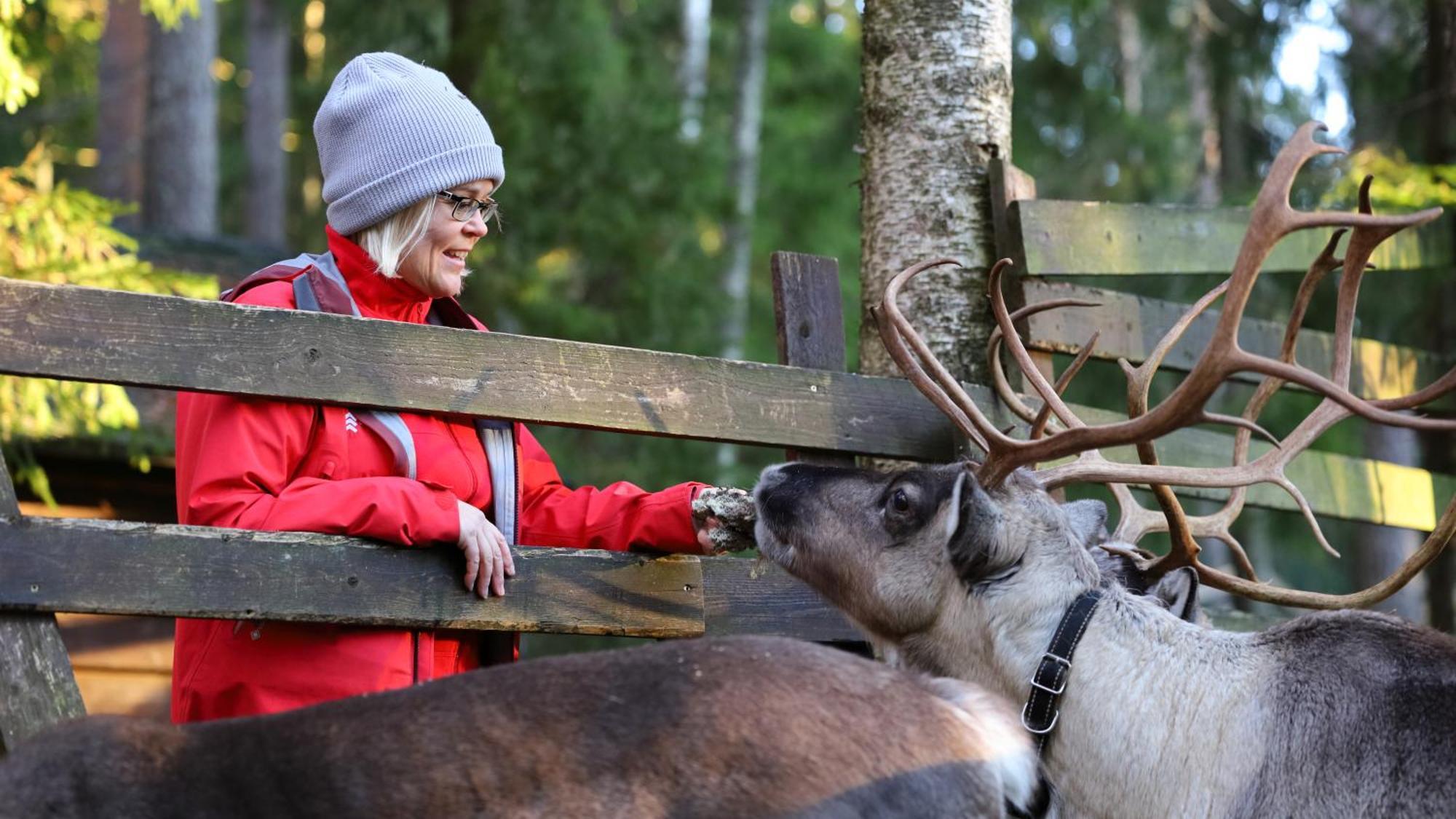 Haltia Lake Lodge Nature Boutique Hotel & Glamping 에스포 외부 사진